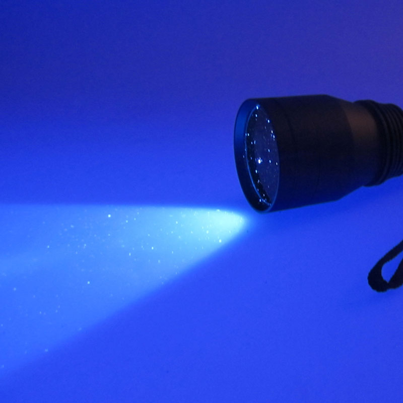 20759333eab9fc82b27cd8df9bbcb79f_1764828722_4254.jpg 20759333eab9fc82b27cd8df9bbcb79f_1764828722_4254.jpg